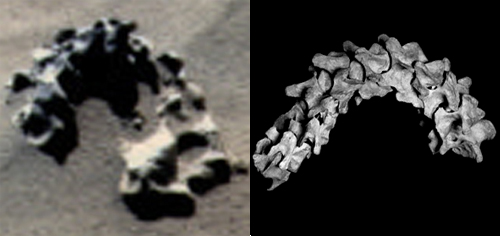 Comparison Image