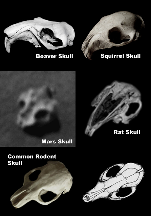 Comparative Examples