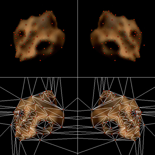 Points of symmetry